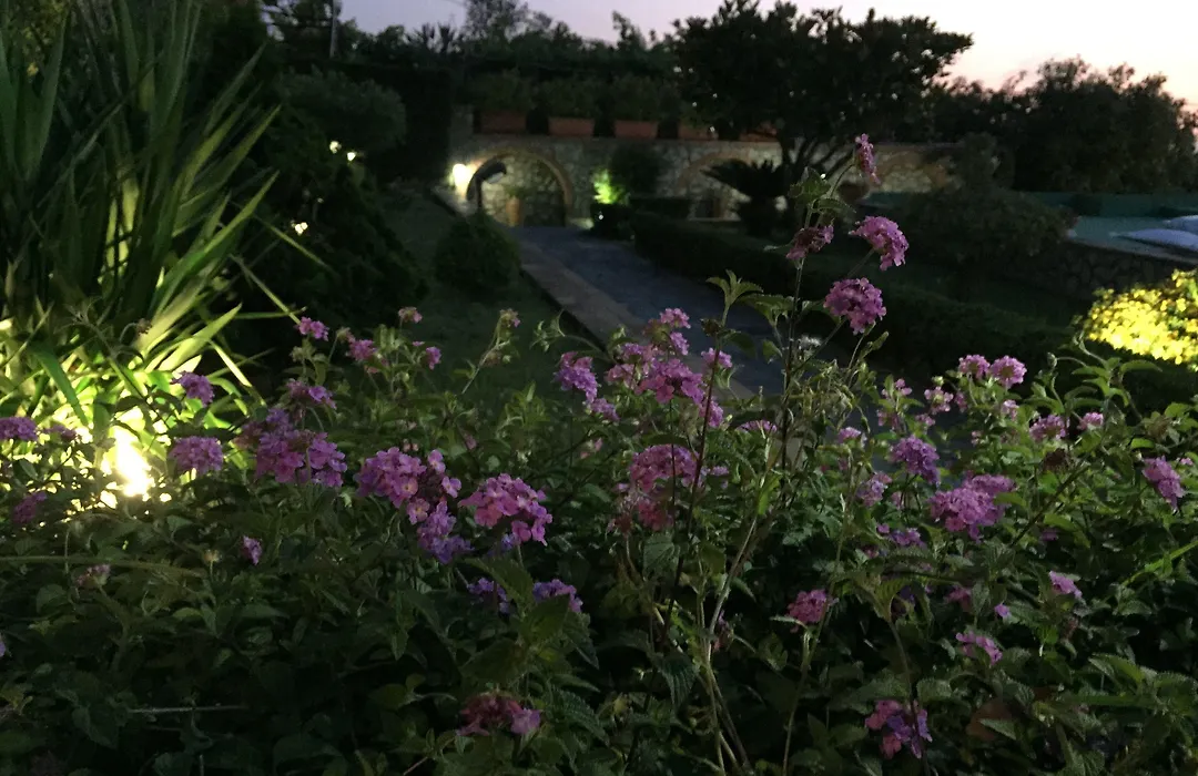 B&B Il Tramonto-1